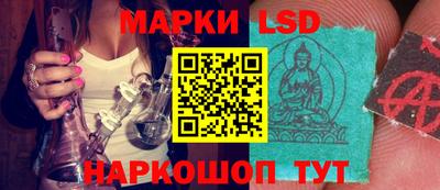 кокс Донской