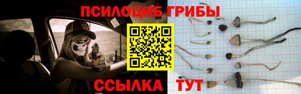 Люберцы  Псилоцибиновые грибы мицелий  Вход с VPN 